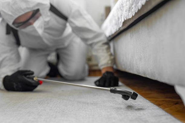 Professional Bed Bug Control technician working in Manning, IA